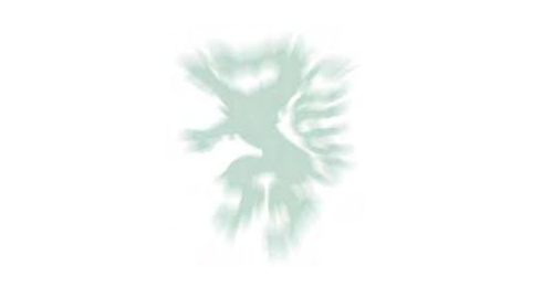 Josef Krainer Prize - Styrian award